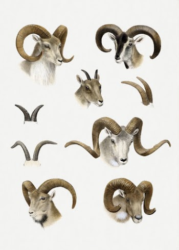 The Great and Small Game | Free Photo Illustration - rawpixel