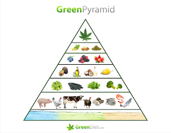 The Green Food Pyramid