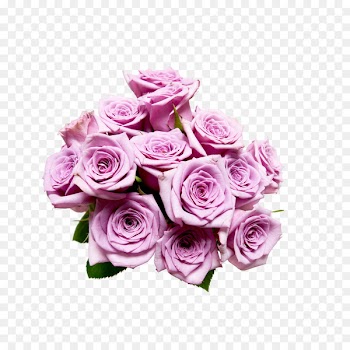 The Guys Engagement Brochure WhatsApp - rose 