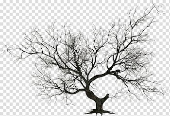 The Halloween Tree , Halloween Trees transparent background PNG clipart