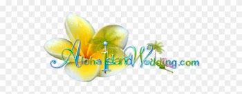 The Hawaiian Wedding Song Hawaiian Lullabye Hanalei - Aloha Island Weddings
