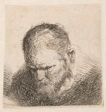 The head of a bearded | Free Photo - rawpixel