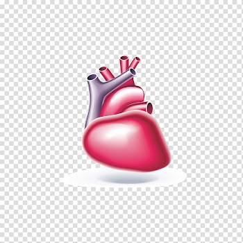 The heart of painted drawings transparent background PNG clipart