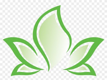 The Herbal Hour Glass - Herbal Logo Design Png