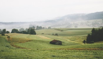 The hill