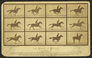 The horse in motion (ca.1878) | Free Photo - rawpixel