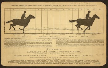 The horse in motion (ca.1878) | Free Photo - rawpixel