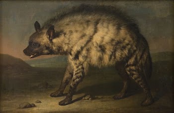 The hyena in the menagerie | Free Photo - rawpixel