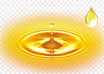 The India-Pakistan Nuclear Relationship: Theories of Deterrence and International Relations Oil Amazon.com Food Extract - oil 