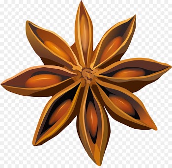 The Indian Connection restaurant Spice Star anise Food - anason pictogram 
