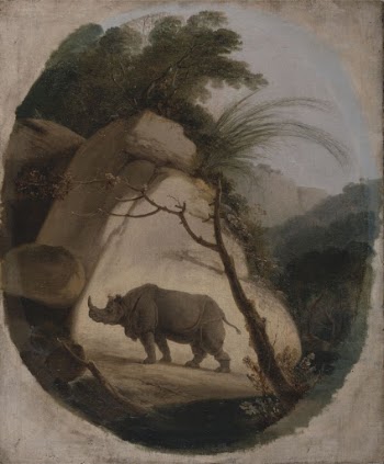 The Indian Rhinoceros | Free Photo - rawpixel