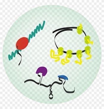 The Jagannathan Laboratory Will Be A Part Of The Rna - Illustration