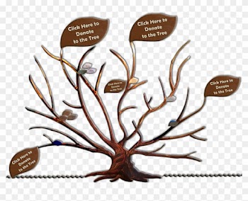 The - John Muir Family Tree