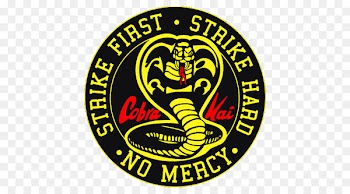 The Karate Kid Johnny Lawrence Daniel Larusso Television show Cobra Kai Never Dies - Cobra Kai 