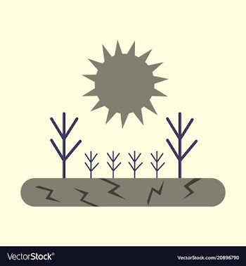 The lack of fertile soil causes the trees to die vector image