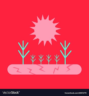 The lack of fertile soil causes the trees to die vector image
