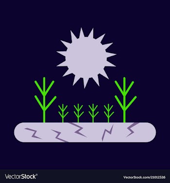 The lack of fertile soil causes the trees to die vector image