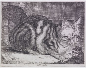The Large Cat | Free Photo - rawpixel