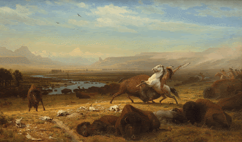 The Last of the Buffalo | Free Photo - rawpixel