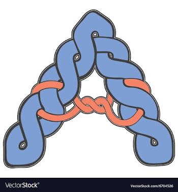 The letter in Celtic style vector image