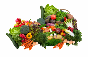 The Lewis Family Philosophy - Fruits And Vegetables Transparent ...