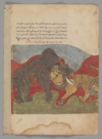 "The Lion and the Elephant | Free Photo - rawpixel