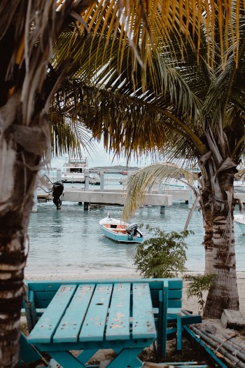 The Little Boat