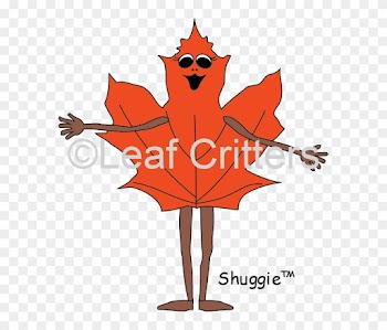 The Maple Leaf - Illustration