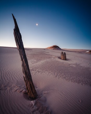 The moon rises above the dunes of Silver Lake State Park, in Michigan, USA. 