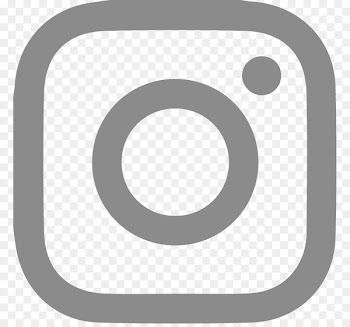 The Moth Cafe The Shed Restaurant Organization Instagram Facebook - logo insta 