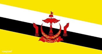The national flag of Brunei | Free stock vector - 505197
