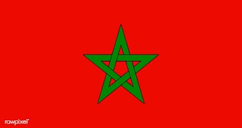 The national flag of Morocco | Free stock vector - 505200