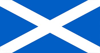 The national flag of Scotland | Free stock vector - 505215