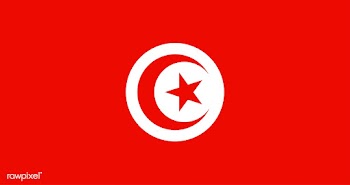 The national flag of Tunisia | Free stock vector - 505190