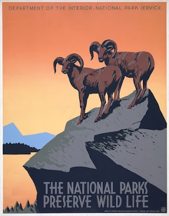 The national parks preserve wild | Free Photo Illustration - rawpixel