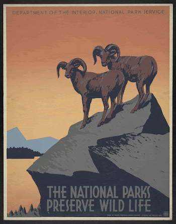 The national parks preserve wild | Free Photo - rawpixel