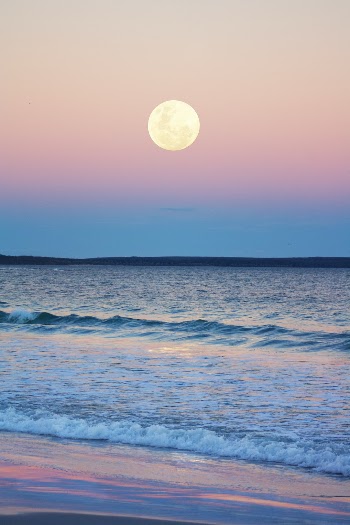 The nearly full moon rising over Jervis Bay, Australia, in blue hour as the last pink leaves the sky.  The famous white sand beaches and crystal clear water catch the light beautifully as it fades.

In this image I have increased saturation, contrast and the the moon to better capture the feeling of being there.