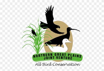 The Northern Great Plains Joint Venture Area Is Arid - Dog Catches Something