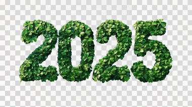 the number “2025” made of shamrocks