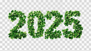 the number “2025” made of shamrocks, isolated on black backg