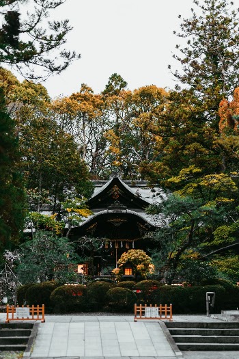 The one thing that blows me away whilst spending time in Japan is the fact that in amongst the buildings and the structures, you can find beautiful hidden jams like this Shrine dedicated to Rabbits. 