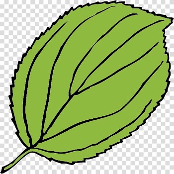 The Palace Center Wedding XO Group Inc. Hannah Hildebrandt Events Bride, Pumpkin Leaves transparent background PNG clipart