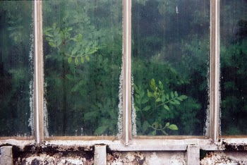 The Palm House at Kew Gardens
