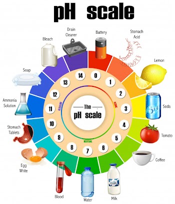 The ph scale Free Vector