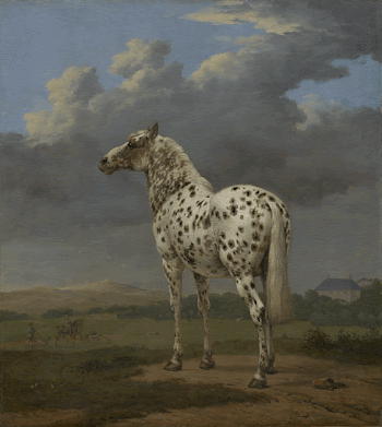 The "Piebald" Horse (1650&ndash;1654) painting | Free Photo - rawpixel