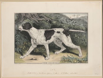 The pointer (1848) by N. | Free Photo - rawpixel