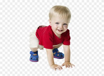 The Preprimary Program Is For Children Ages 20 Months - Baby Brightest: Words (cd)