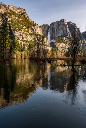 The reflection of Yosemite Falls appears in spring floodwaters at Yosemite National Park, California, USA. 