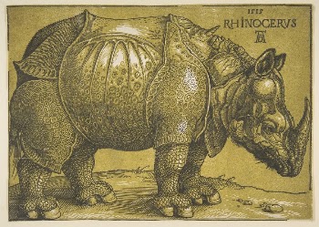 The Rhinoceros | Free Photo - rawpixel