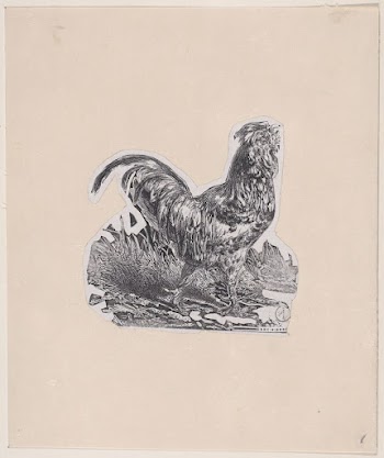 The Rooster | Free Photo - rawpixel